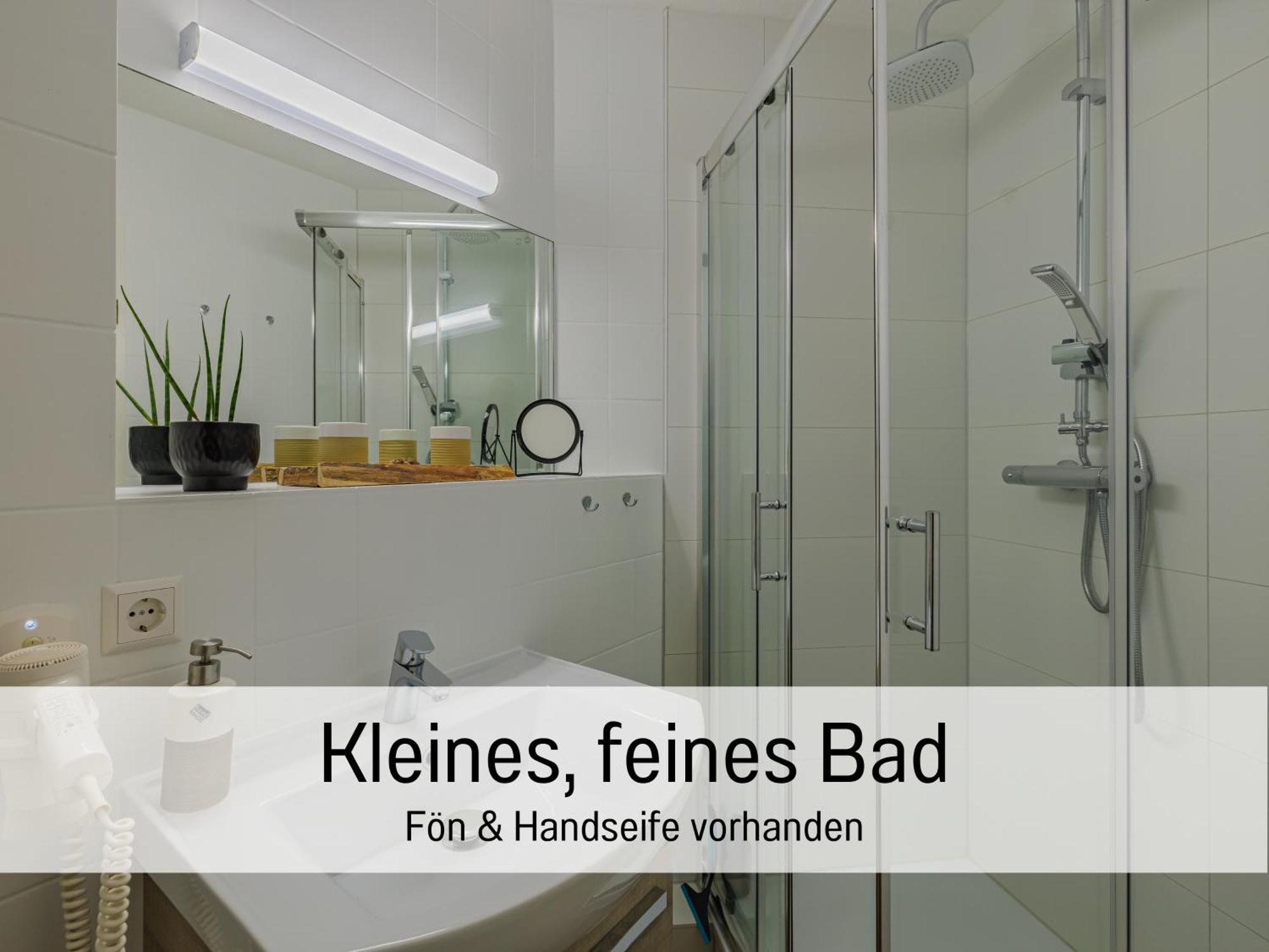Baechle Im Wanderparadies Balkon Mit Blick Auf Den Bach Sauna Im Haus Tiefgarage E-Ladestation Todtnauberg Εξωτερικό φωτογραφία