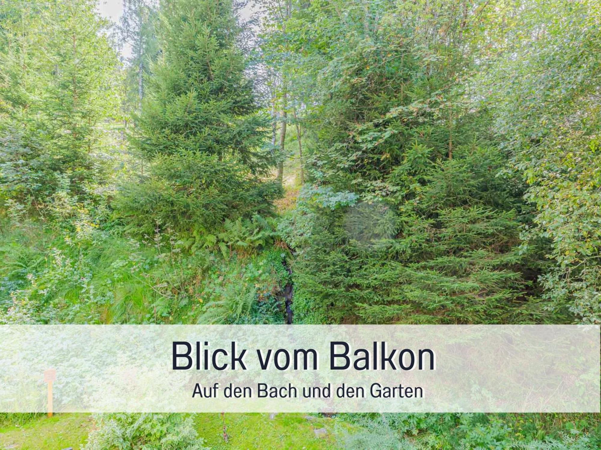 Baechle Im Wanderparadies Balkon Mit Blick Auf Den Bach Sauna Im Haus Tiefgarage E-Ladestation Todtnauberg Εξωτερικό φωτογραφία