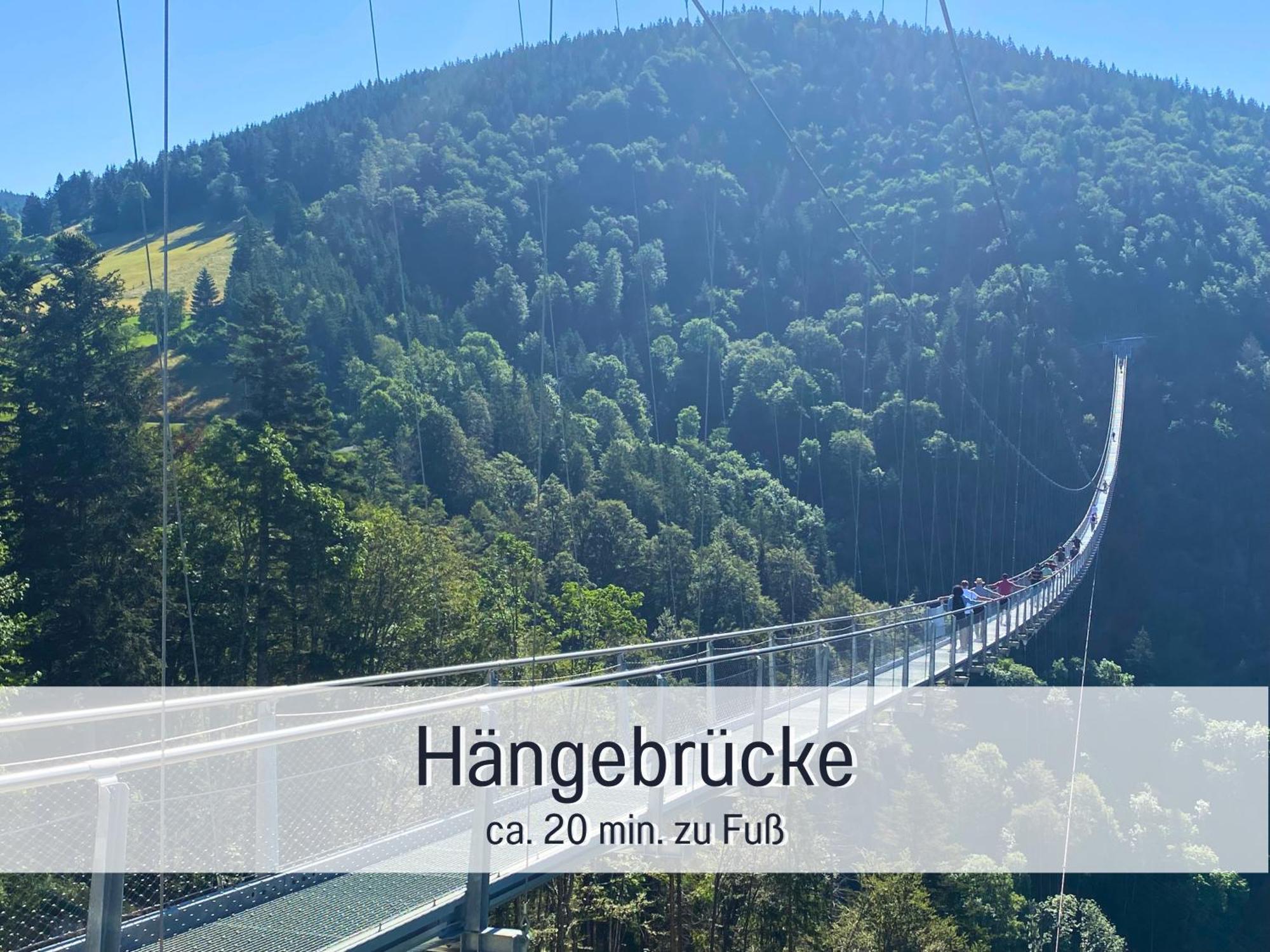 Baechle Im Wanderparadies Balkon Mit Blick Auf Den Bach Sauna Im Haus Tiefgarage E-Ladestation Todtnauberg Εξωτερικό φωτογραφία
